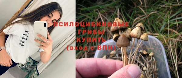 дурь Навашино